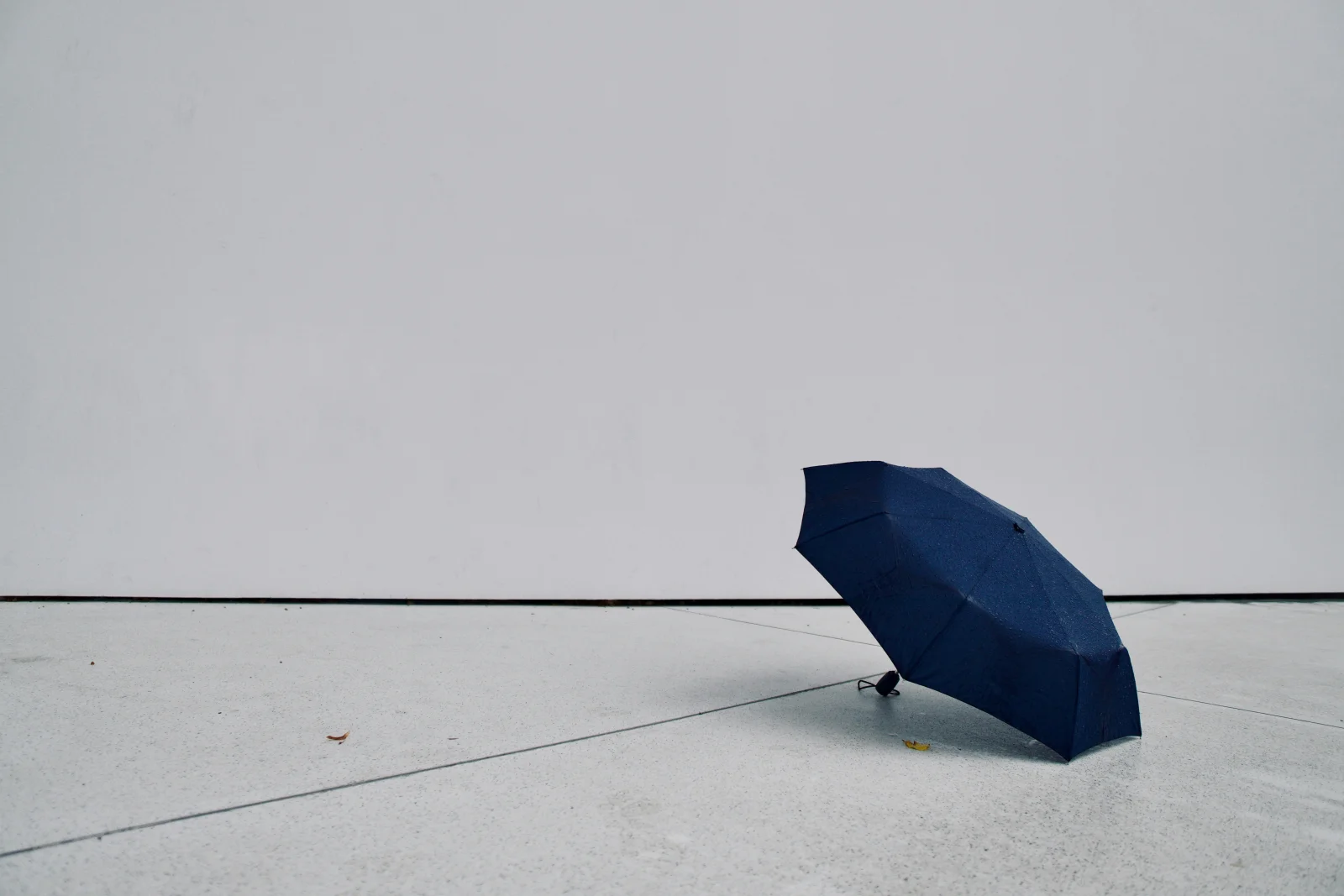 Parapluie personnalisé avec marquage du logo : exemple de réalisation