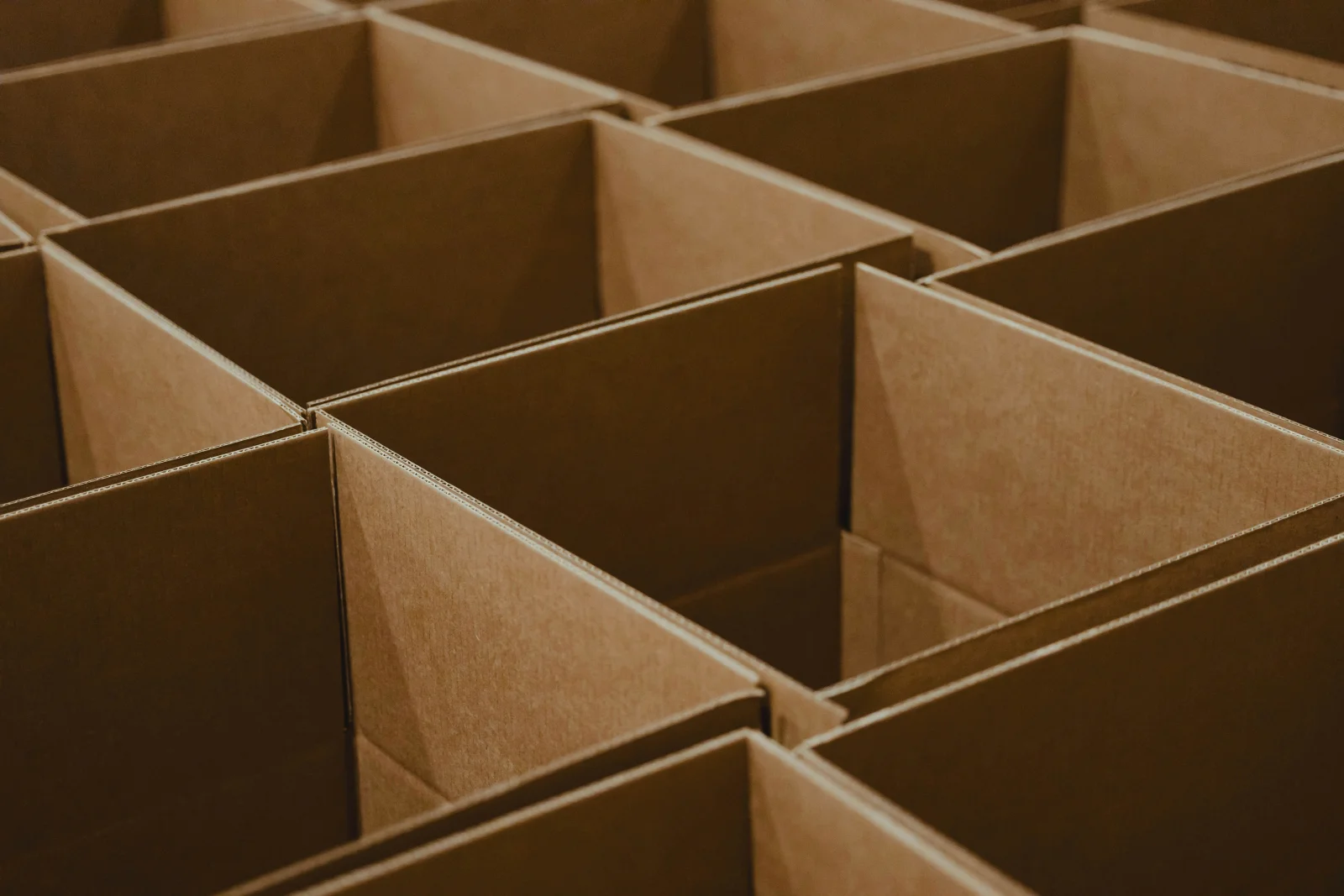 Impression personnalisée sur carton : exemple de rendu