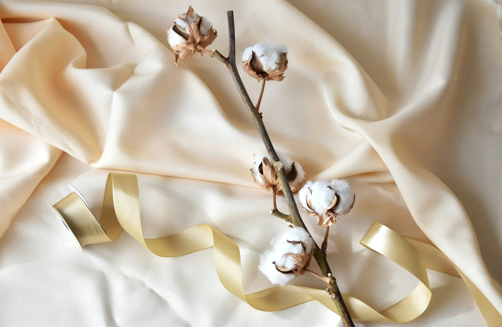 Impression personnalisée sur coton : exemple de rendu